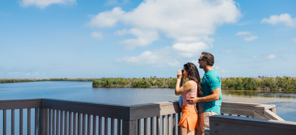 Fort Myers – Islands, Beaches &amp; Neighborhoods: Ein Paradies für Tiere – ein Erlebnis für Besucher